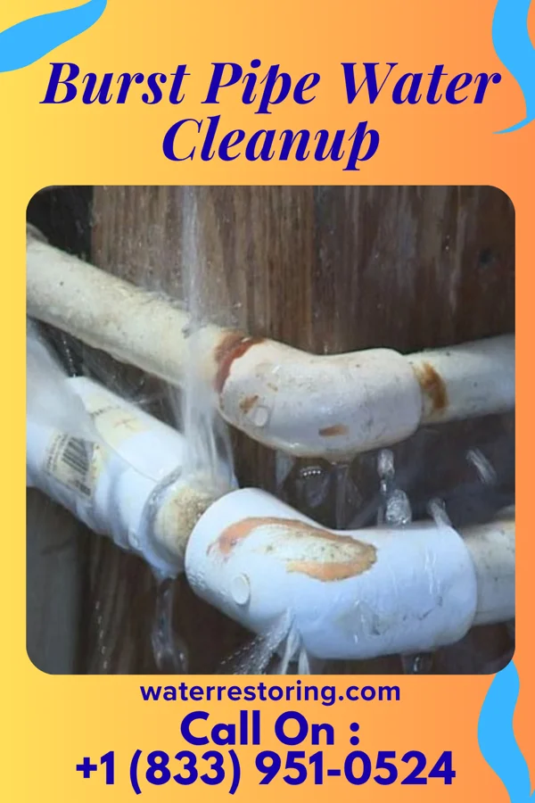 Burst Pipe Water Cleanup in Winterville, GA
