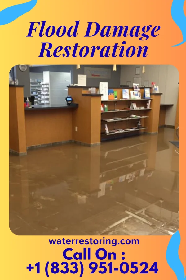 Flood Damage Restoration in Winterville, GA